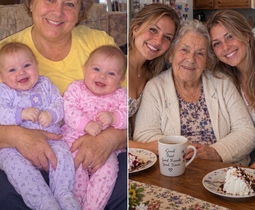 My DIL Left Her Twin Daughters with Me After I Lost My Son Because She ‘Wanted a Better Life’ –…