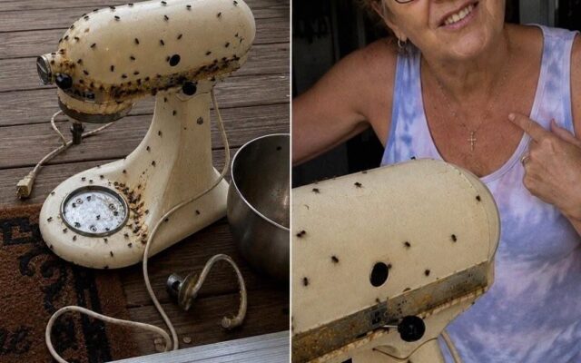 She Thought I’d Keep Lending Her My Appliances—Until She Returned My Mixer in Pieces